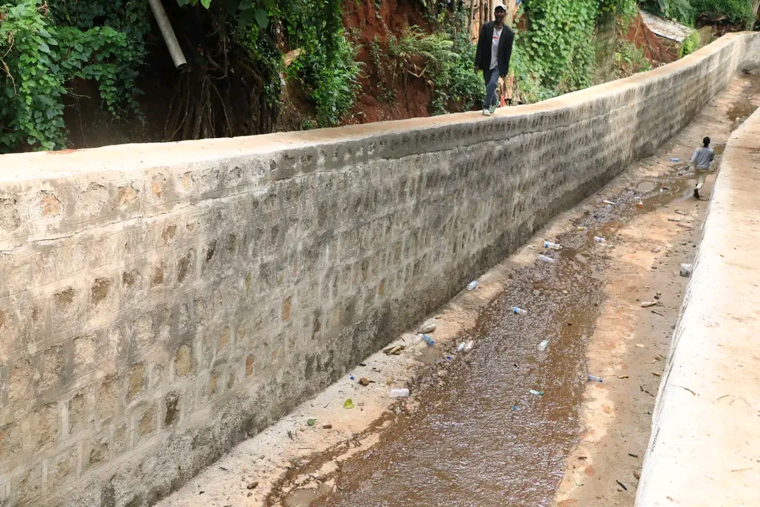 ፕሮጀክቶች